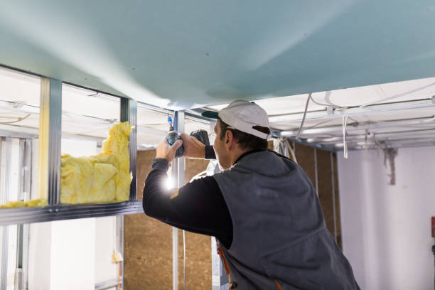 Best Spray Foam Insulation  in West Point, MS