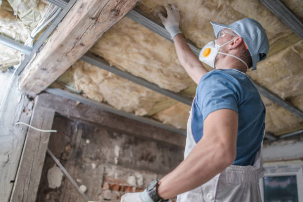 Best Insulation Repair Services  in West Point, MS