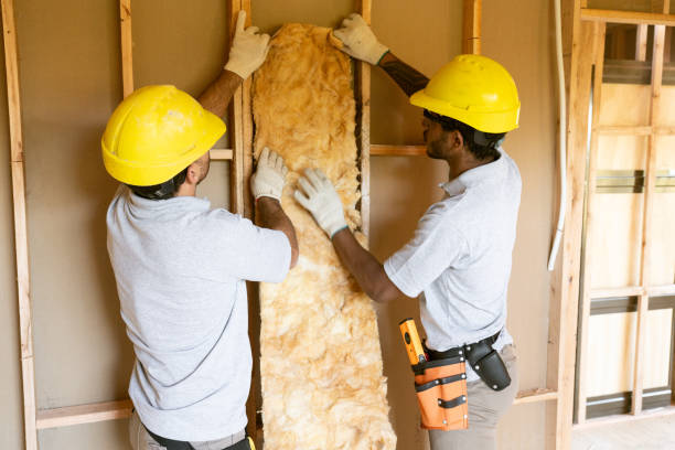 Best Insulation Inspection Services  in West Point, MS