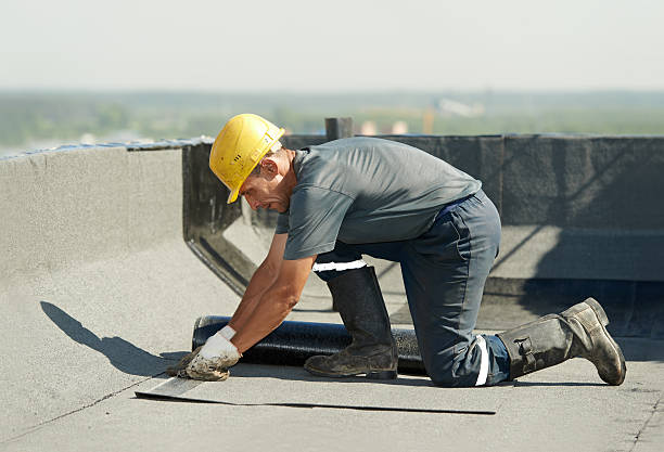 Best Attic Insulation Installation  in West Point, MS