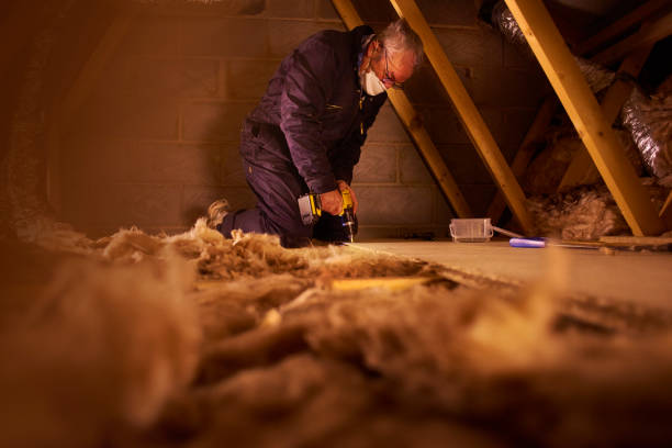 Best Affordable Insulation Services  in West Point, MS